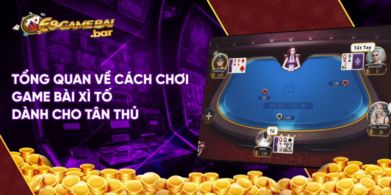 Cách chơi xì tố đẳng cấp nâng cao tỷ lệ thắng cược đến 89% Tổng quan về cách chơi game bài xì tố dành cho tân thủ